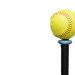 Cooperation Brings Record Number of Softball Teams