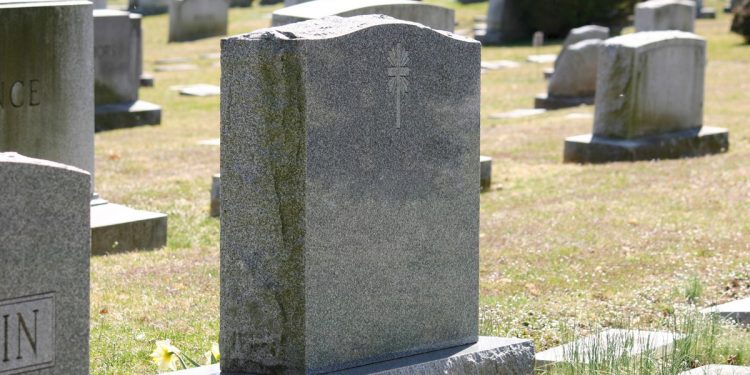 Voices of Elmwood 2016