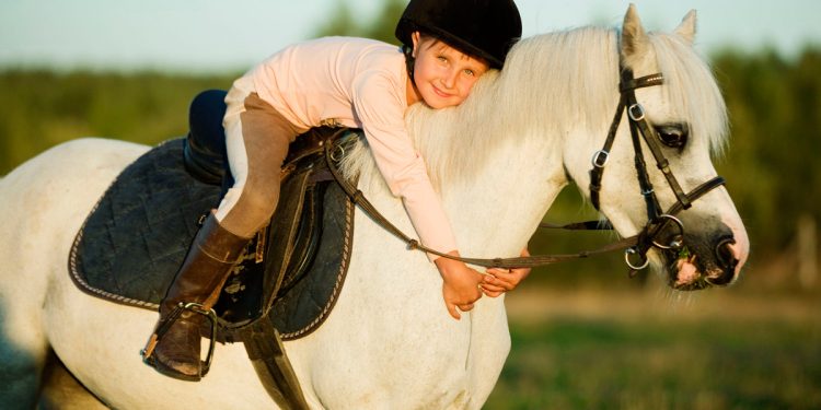 Friends in Faith Benefit Horse Show