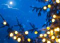 Holiday in the Park 2016