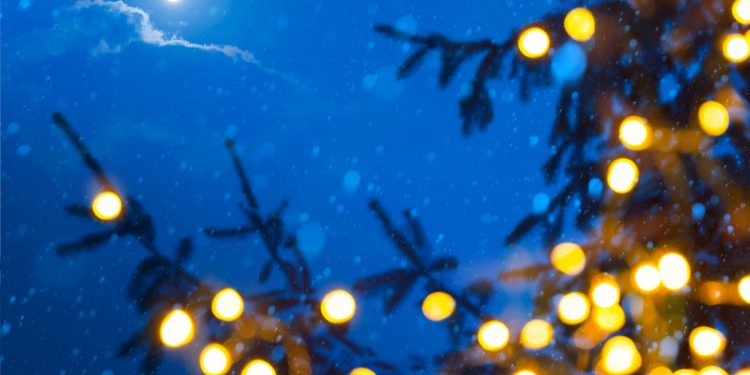 Holiday in the Park 2016