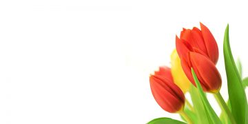 A Heart for Service: The Volunteers of Hospice