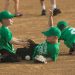 Parks & Rec T-Ball Registration