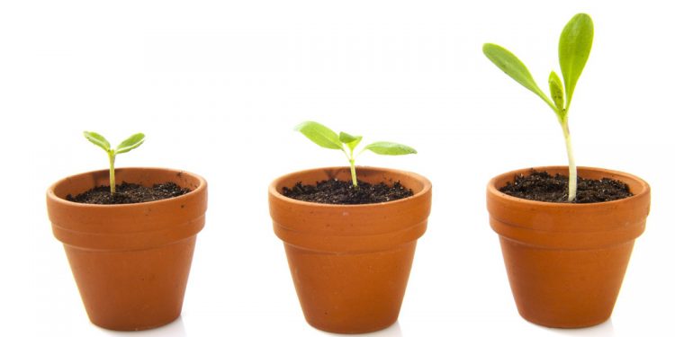 Cecil Farms Hosting ‘Seed Day’ During Spring Break