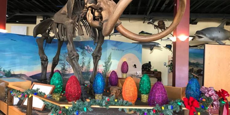 Winter Break Activities at Owensboro Museum of Science & History