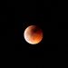 Something Incredible Will Happen with the Moon Tomorrow Morning