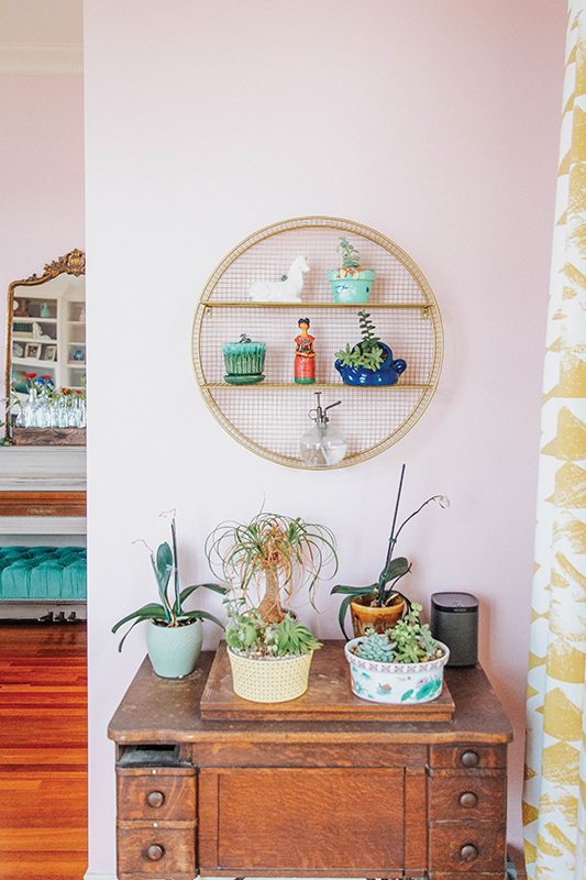 Plants and decor in front of light pink wal