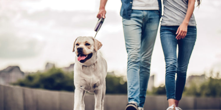Man and woman walking dog on cloudy day