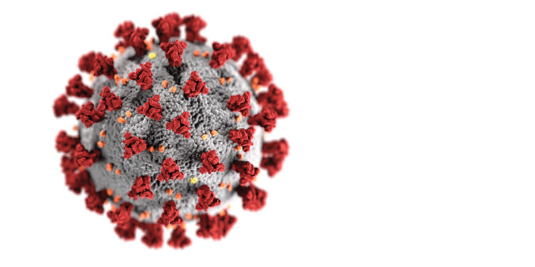 Coronavirus