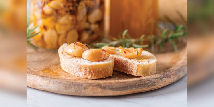 Teaching an Old Trade with New Media